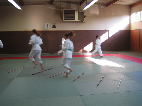 Aikido2008_008