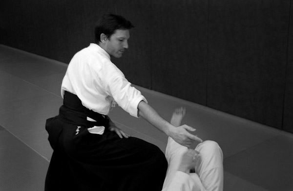 Aikido06-2012_19