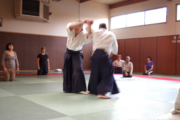 Aikido12-2011_17