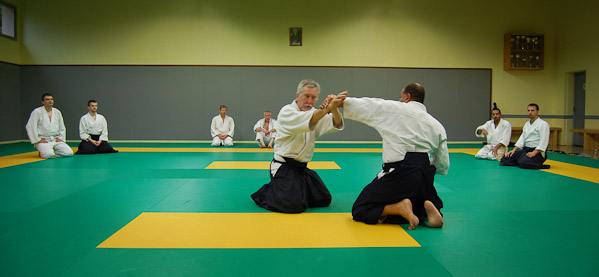 Aikido06-2014_33