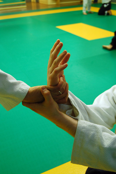 Aikido06-2014_45