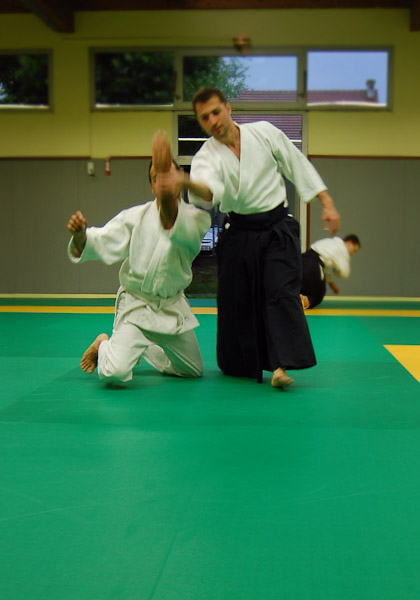 Aikido06-2014_53