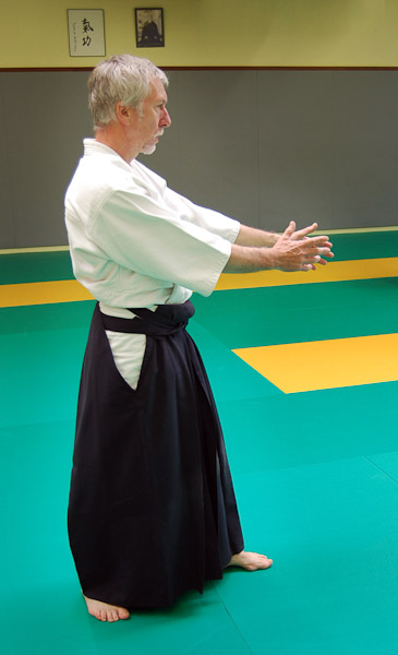 Aikido06-2014_100